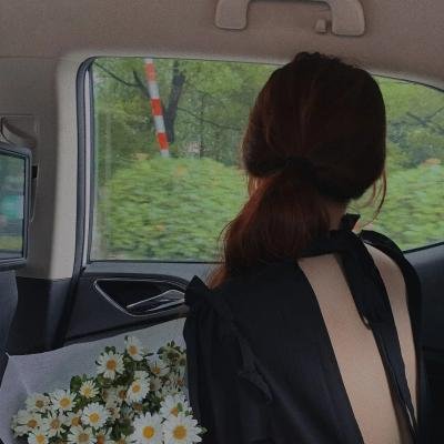 菊石